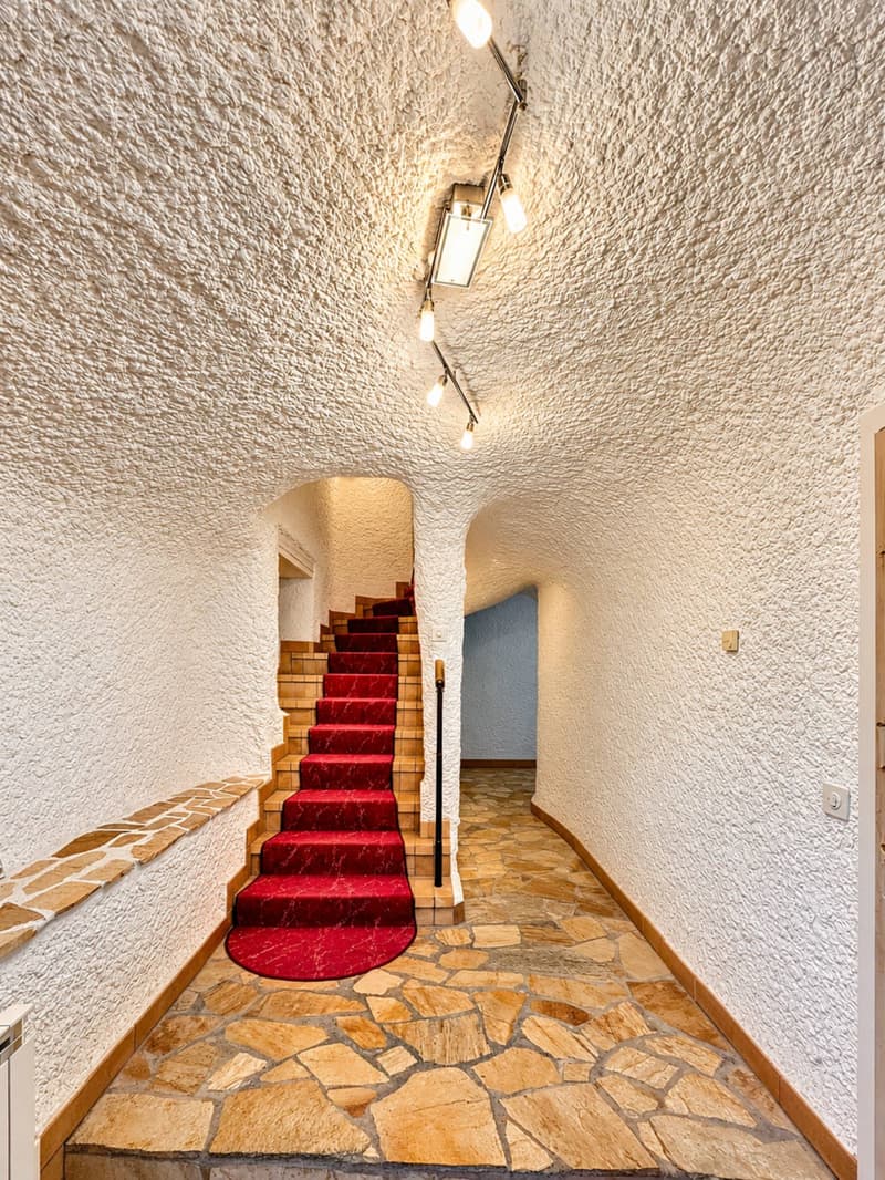 Maison de caractère au cur dEysins (9)