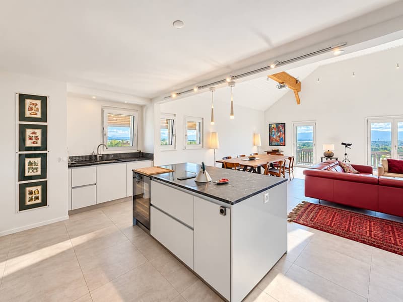Duplex de Standing avec vue sur le Lac et les Alpes (3)