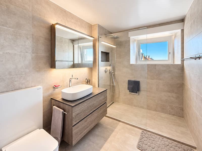 Duplex de Standing avec vue sur le Lac et les Alpes (8)