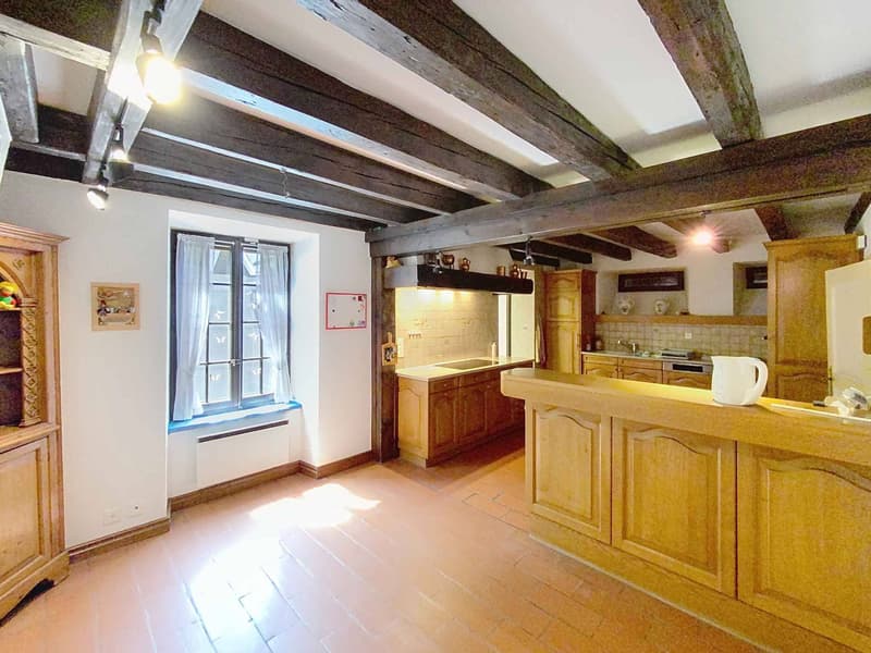Large family house with pool and vast wooded plot (3)