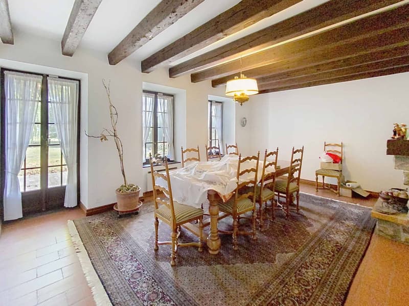 Large family house with pool and vast wooded plot (4)