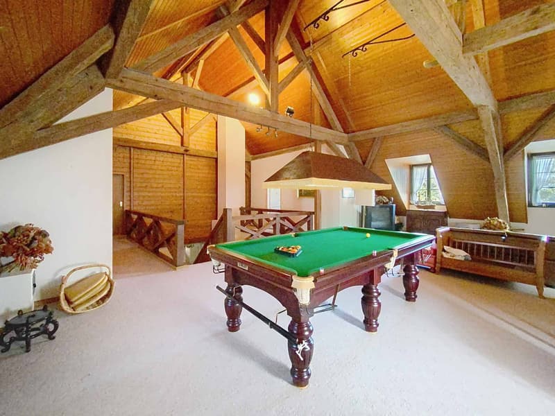 Large family house with pool and vast wooded plot (7)