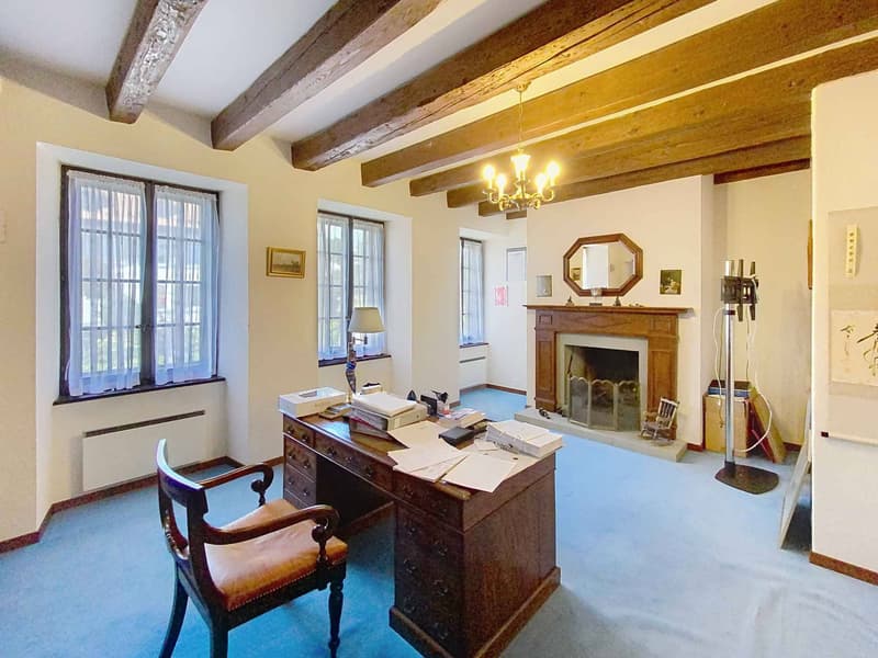 Large family house with pool and vast wooded plot (5)