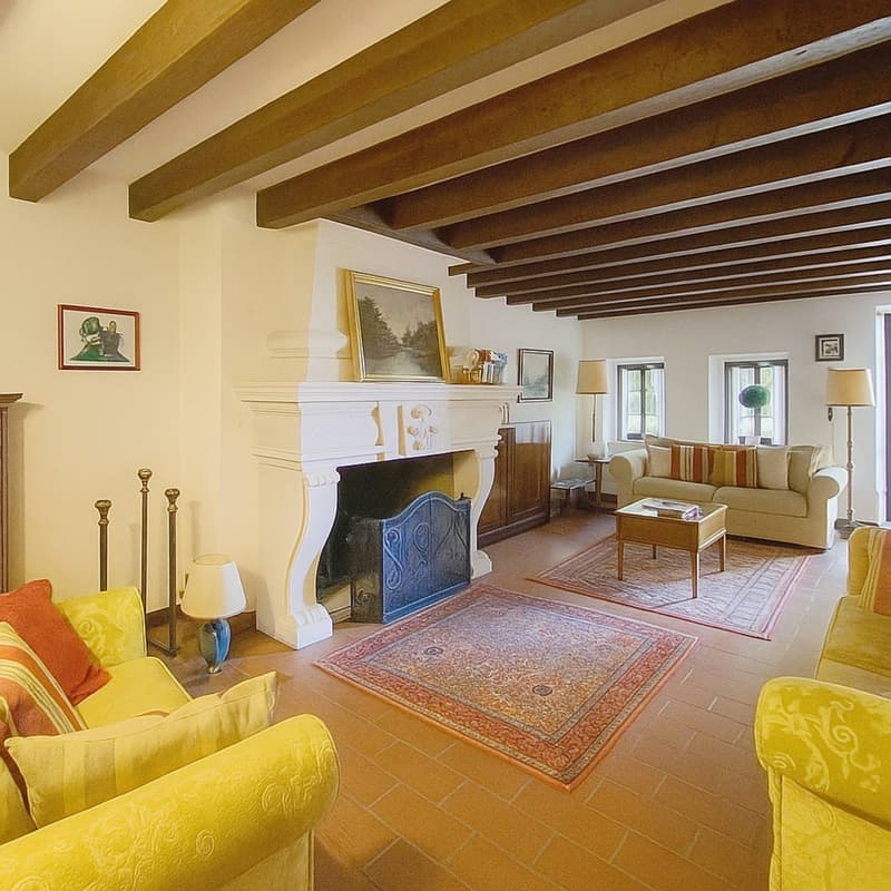 Large family house with pool and vast wooded plot (2)