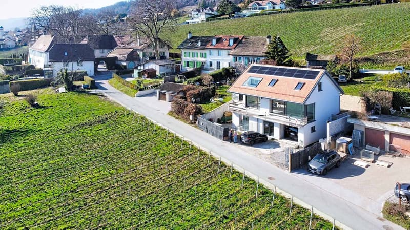 Villa d'Exception neuve : 360 m² de Lumière et de Prestige face au Léman (3)