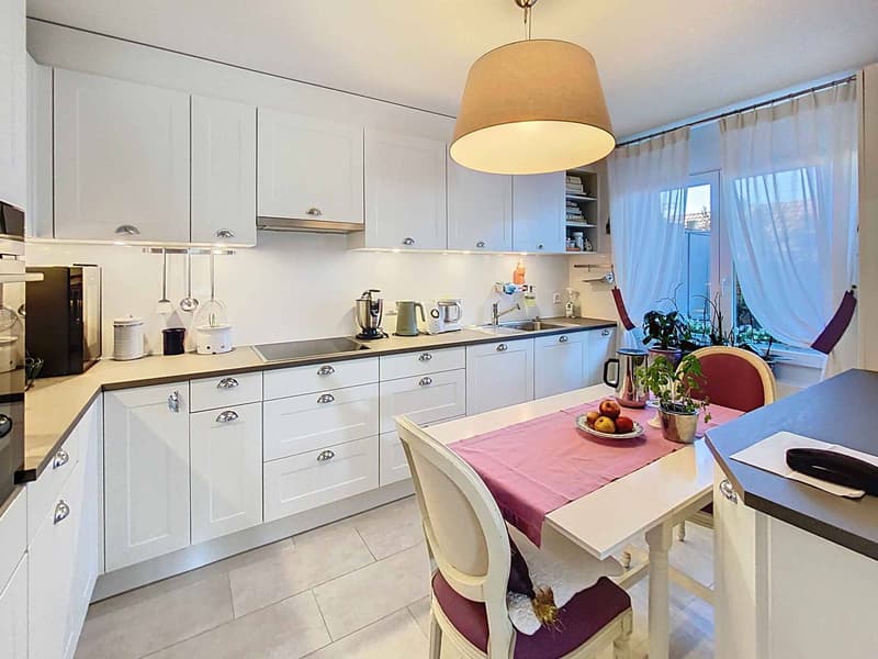 SUPERB APARTMENT WITH LARGE GARDEN, TERRACE AND VIEW OF THE LAKE AND THE ALPS (6)
