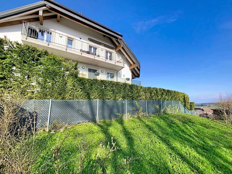 SUPERB APARTMENT WITH LARGE GARDEN, TERRACE AND VIEW OF THE LAKE AND THE ALPS (10)