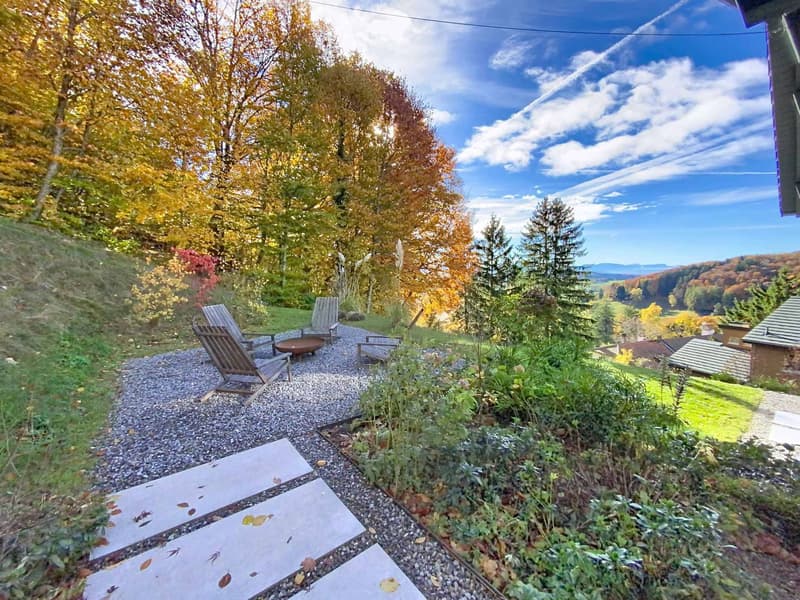 Bellissima casa nella natura (12)