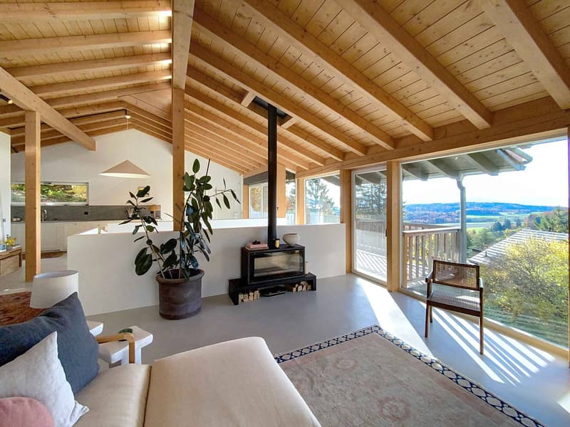 Bellissima casa nella natura (2)