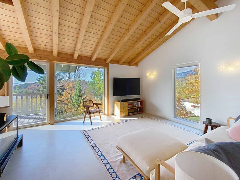 Bellissima casa nella natura (3)