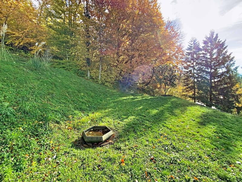 Bellissima casa nella natura (11)