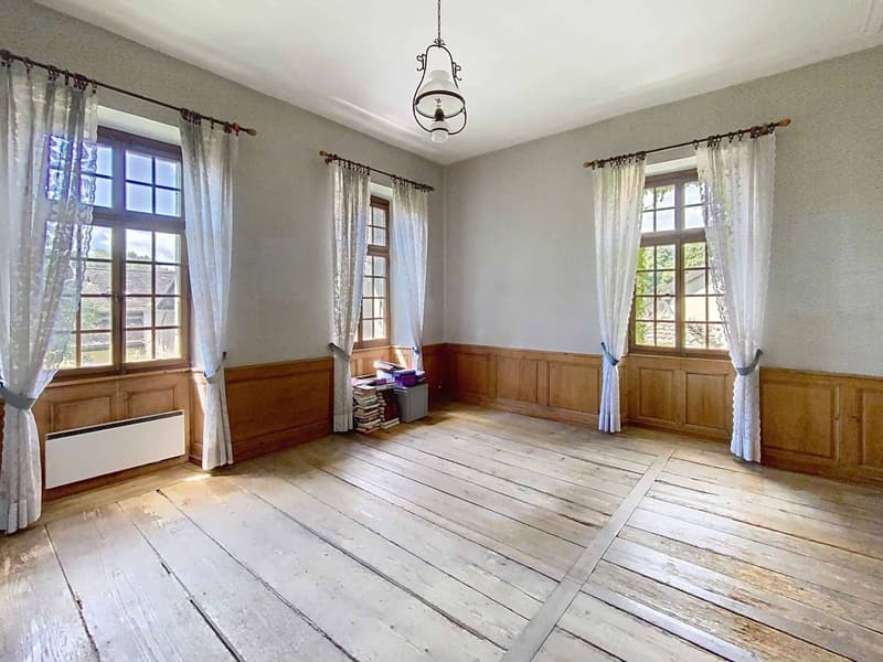 An exceptional property, Manor house and winegrower's house (6)