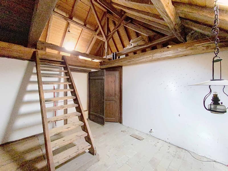 An exceptional property, Manor house and winegrower's house (9)