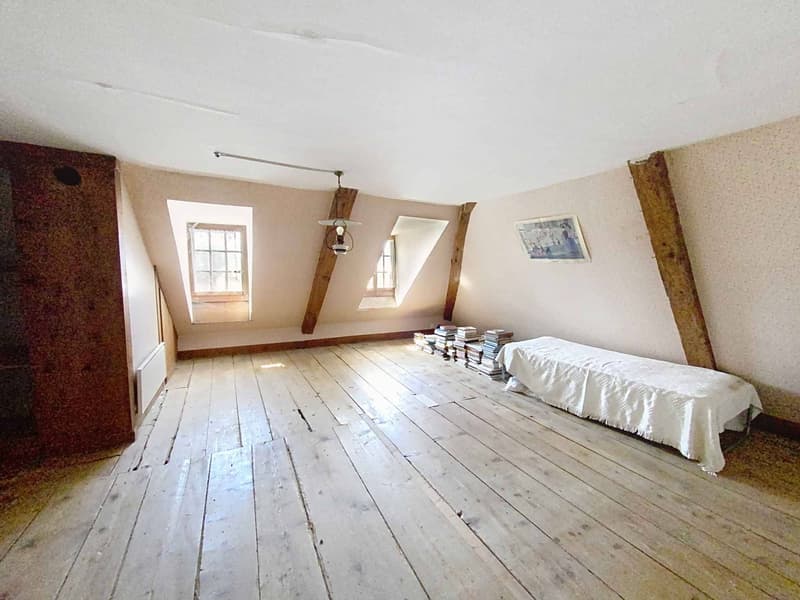 An exceptional property, Manor house and winegrower's house (10)