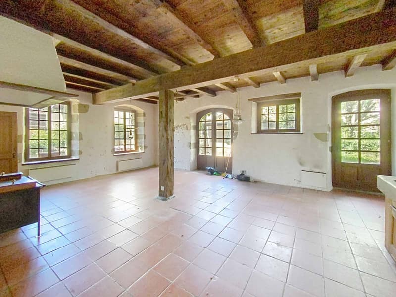 An exceptional property, Manor house and winegrower's house (3)