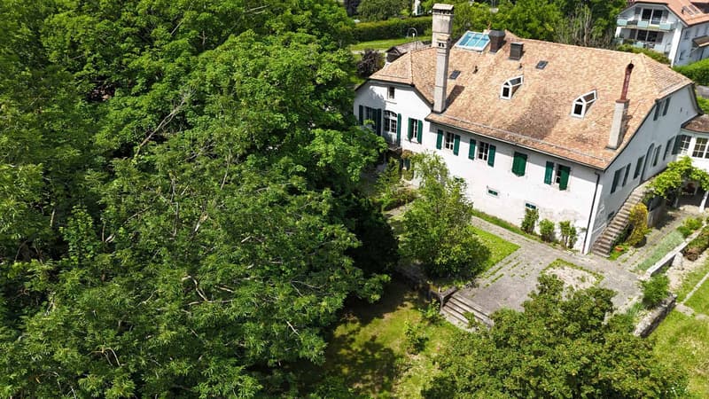 16th Century Character Property (13)