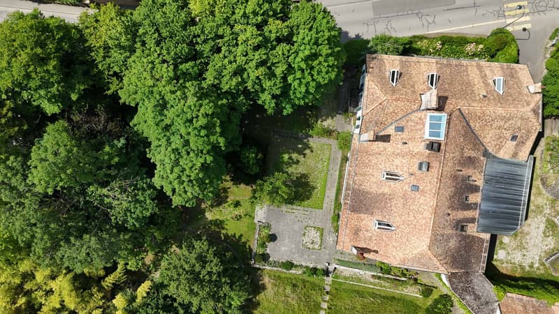 16th Century Character Property (2)