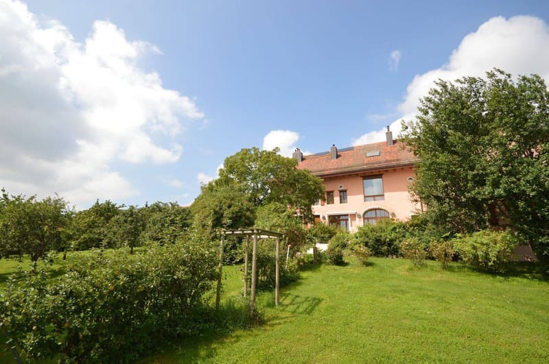 Magnificent renovated 19th-century estate (9)