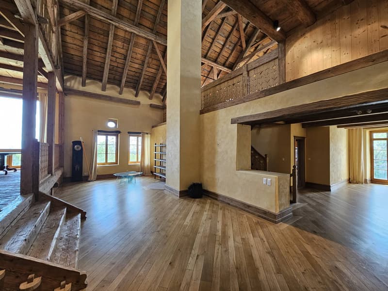 Magnificent renovated 19th-century estate (3)