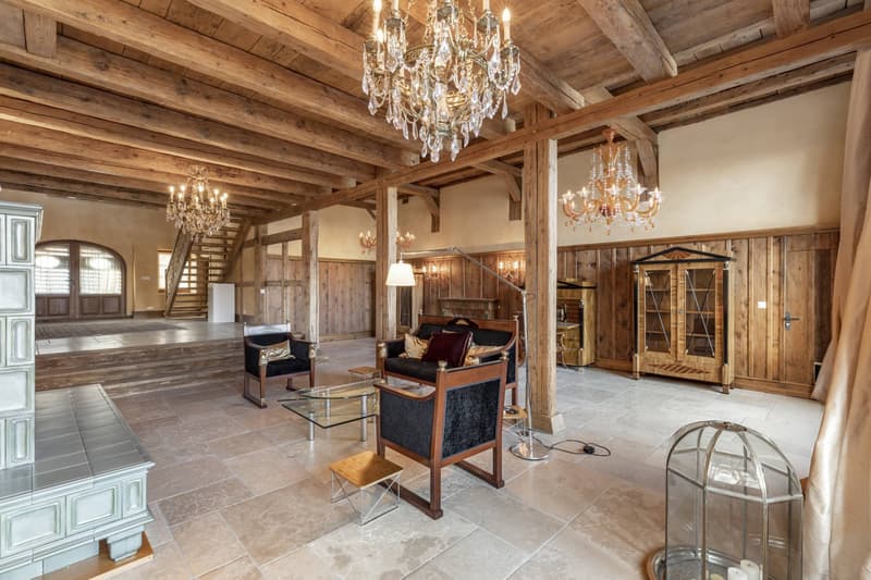 Magnificent renovated 19th-century estate (2)