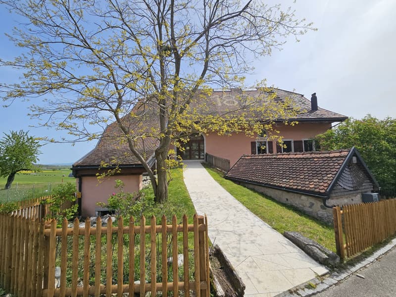 Magnificent renovated 19th-century estate (6)