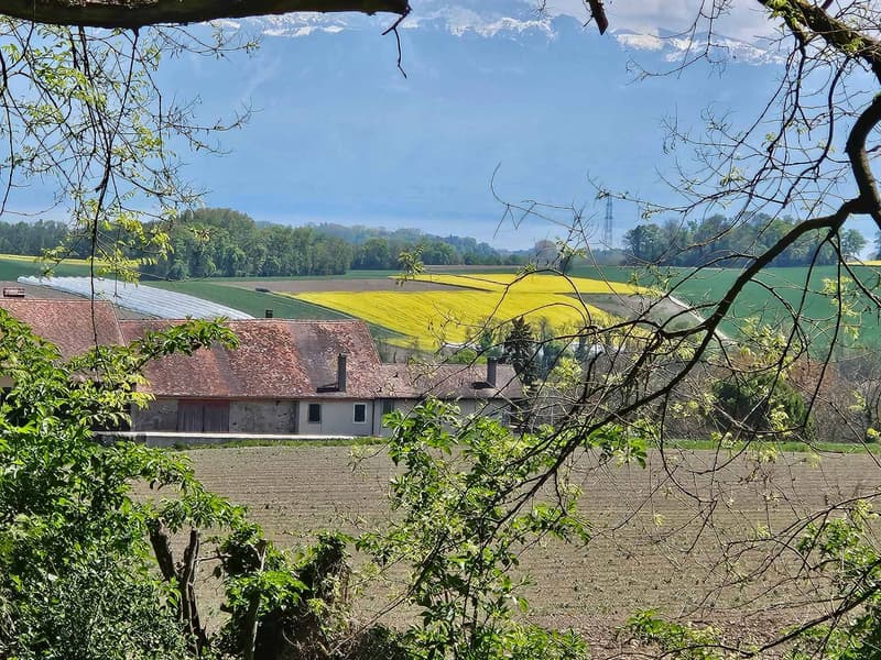 Villa individuale di lusso su piano - NUOVA (7)