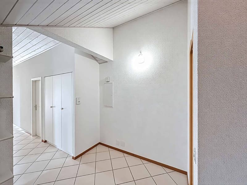 Un attique exclusif aux volumes généreux, avec jardin privatif (2)
