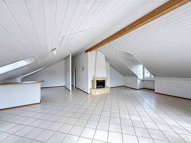 An exclusive attic with generous volumes, with private garden (3)