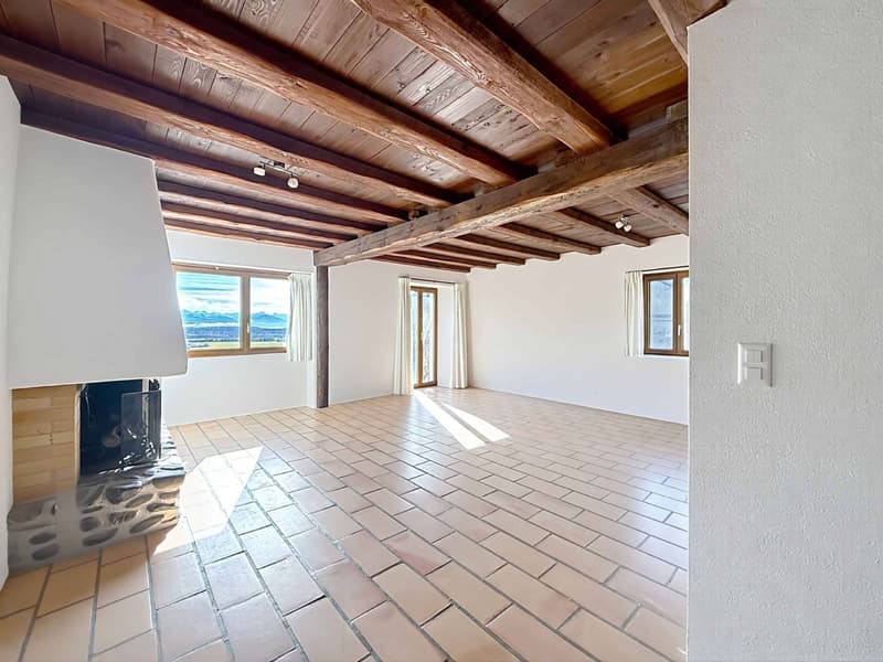 Beautiful village house renovated with charm, volumes and view of the Alps (8)