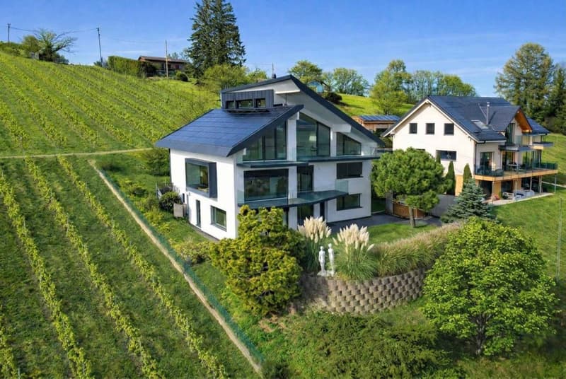 Architect's Villa in the Heart of the Vineyards (13)