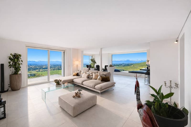 Architect's Villa in the Heart of the Vineyards (2)