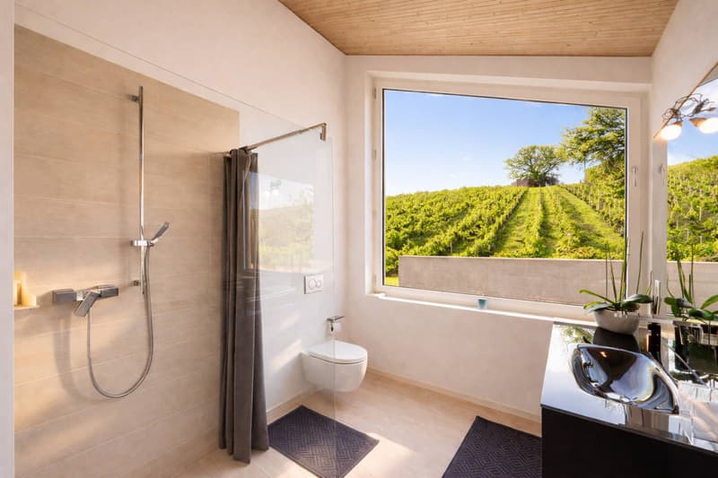 Architect's Villa in the Heart of the Vineyards (8)