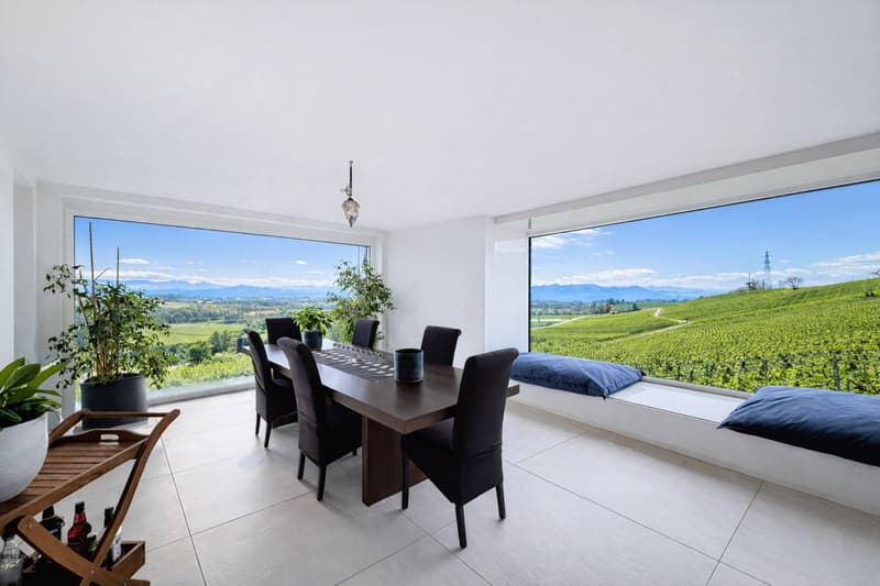 Architect's Villa in the Heart of the Vineyards (5)