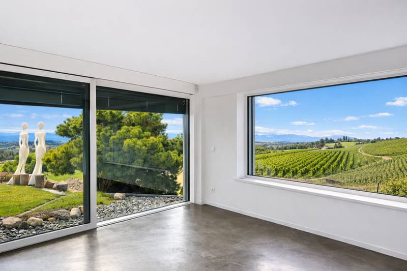 Architect's Villa in the Heart of the Vineyards (11)