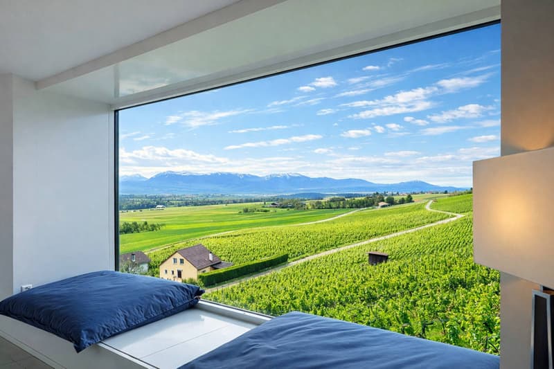 Architect's Villa in the Heart of the Vineyards (4)