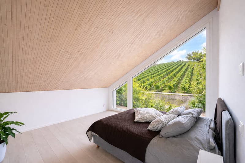 Architect's Villa in the Heart of the Vineyards (9)