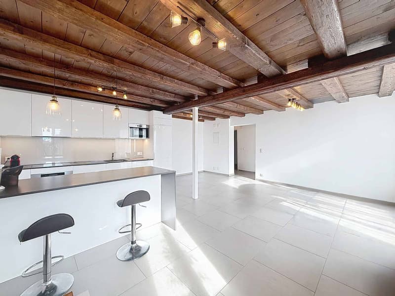 Magnifique maison villageoise rénovée avec charme, volumes et vue sur les Alpes (2)