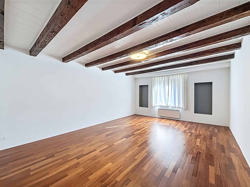Magnifique maison villageoise rénovée avec charme, volumes et vue sur les Alpes (1)