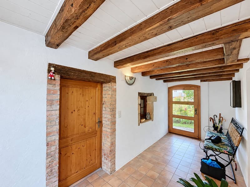 Une maison de caractère pleine d'âme au cur de Colombier (3)