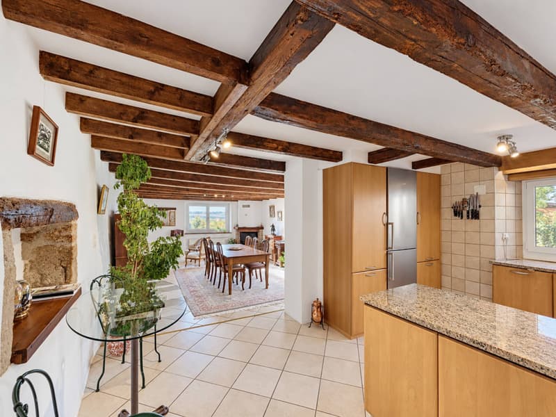 Une maison de caractère pleine dâme au cur de Colombier (4)