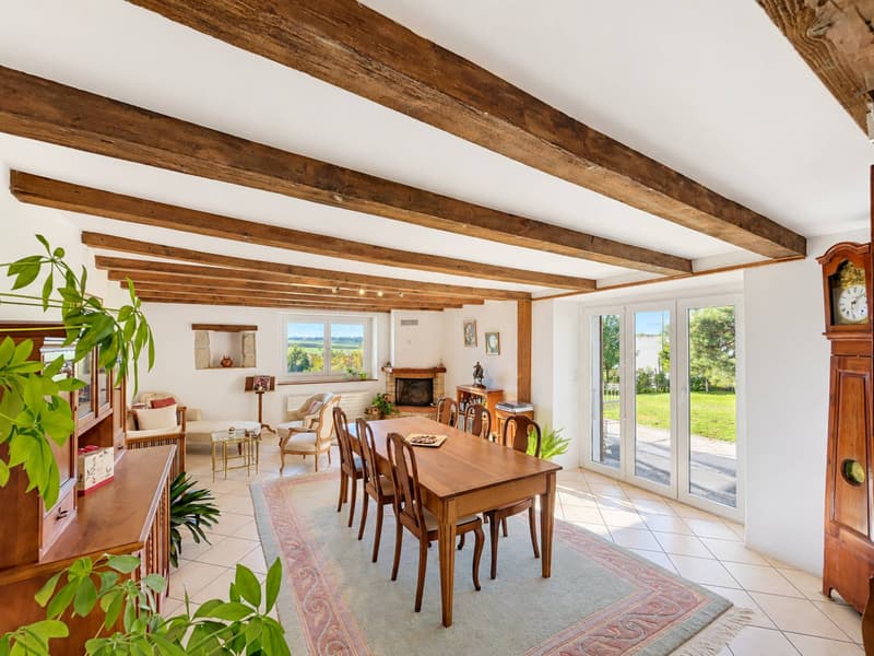 Une maison de caractère pleine dâme au cur de Colombier (6)