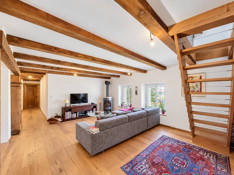 Une maison de caractère pleine dâme au cur de Colombier (8)