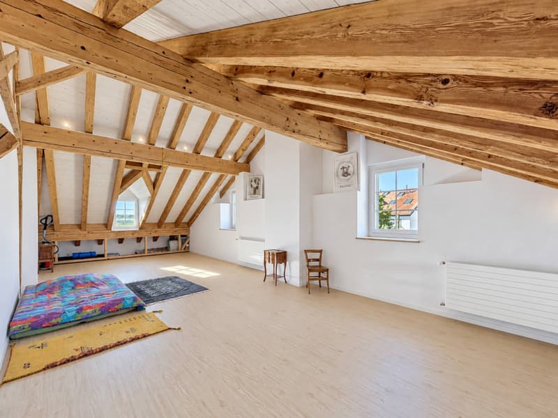 Une maison de caractère pleine dâme au cur de Colombier (13)