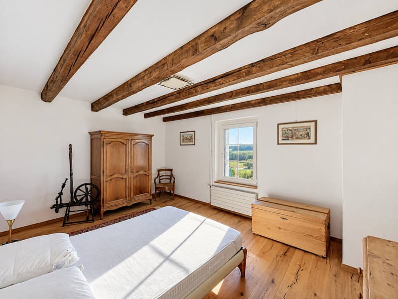 Une maison de caractère pleine dâme au cur de Colombier (10)