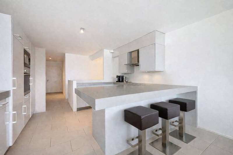 Duplex contemporaneo con giardino privato e vista sulle Alpi a Pully Sud (2)