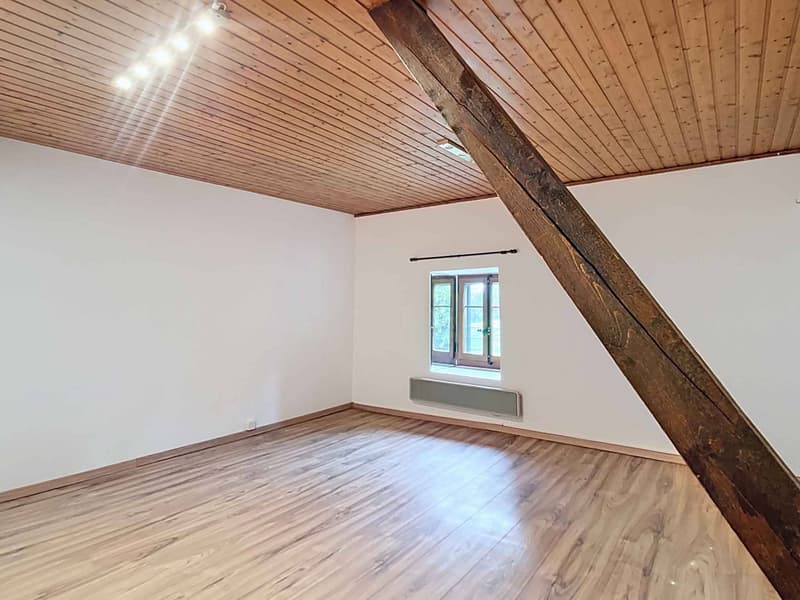Renovated farm in the heart of nature (11)