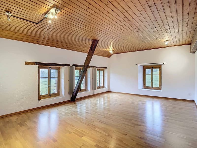 Renovated farm in the heart of nature (10)