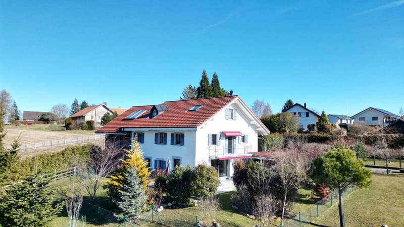 Character property offering three apartments and a commercial space (1)