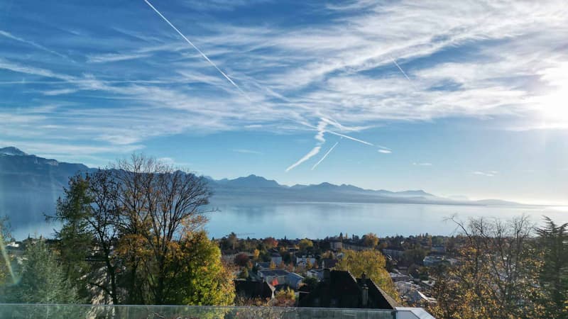 Exceptional attic with a magnificent view of the lake (12)