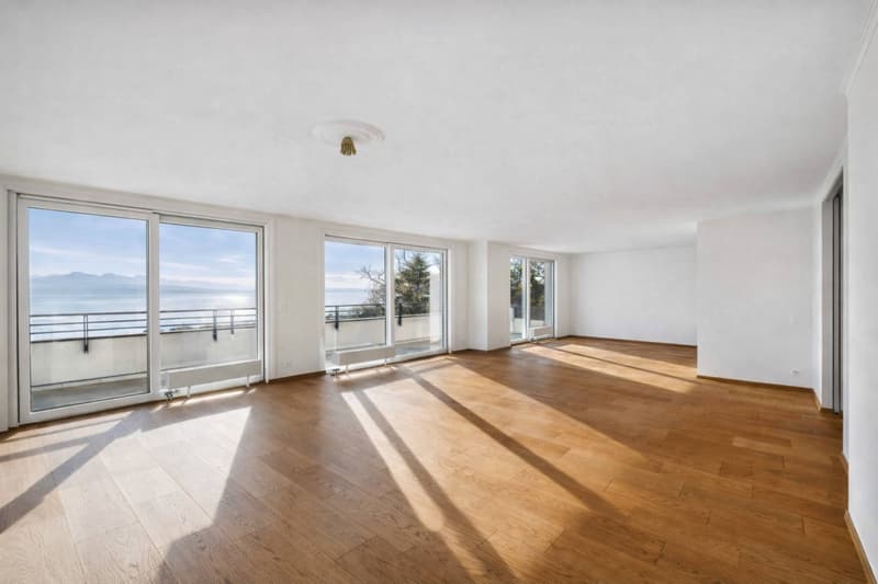 Exceptional attic with a magnificent view of the lake (3)